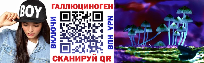 Купить где  Артёмовск  Галлюциногенные грибы Magic Shrooms 